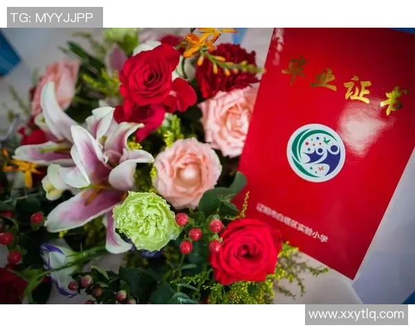 与杨磊畅谈王者荣耀职业生涯的点滴与成长之路 与杨磊畅谈王者荣耀职业生涯的点滴与成长之路